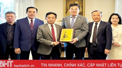 Lãnh đạo Hà Tĩnh thăm, làm việc với Đại sứ quán Việt Nam tại Nhật Bản