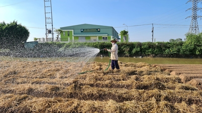 Hải Dương có trên 30% số hợp tác xã nông nghiệp sản xuất theo chuỗi giá trị