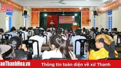 ヌータン地区における無形文化の研修、専門能力開発、教育