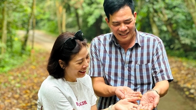 ដើរលេង និងមើលមេអំបៅក្នុងព្រៃ Cuc Phuong