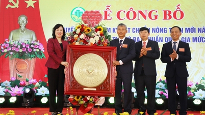 រដ្ឋមន្ត្រីក្រសួងសុខាភិបាល Dao Hong Lan បានចូលរួមពិធីស្វាគមន៍ស្តង់ដារជនបទថ្មីនៅឃុំ Tam Ky (Kim Thanh)។