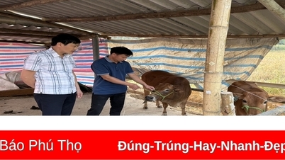 ការចិញ្ចឹមជីវិតជួយប្រជាជនឱ្យរួចផុតពីភាពក្រីក្រ