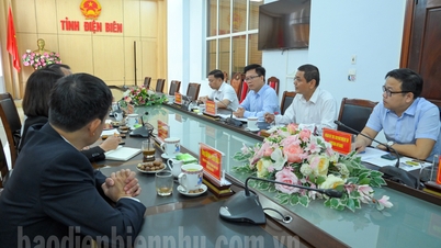 អនុប្រធានអចិន្ត្រៃយ៍គណៈកម្មាធិការប្រជាជនខេត្ត លោក Pham Duc Toan បានធ្វើការជាមួយគណៈប្រតិភូអង្គការ Word Vision International ប្រចាំនៅវៀតណាម។