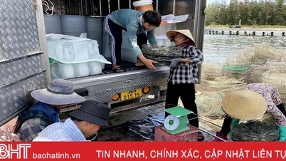 ជំនះការលំបាកក្នុងវិស័យវារីវប្បកម្ម Ha Tinh ប្រមូលផលផលិតផលជលផលជិត ៨ ពាន់តោន