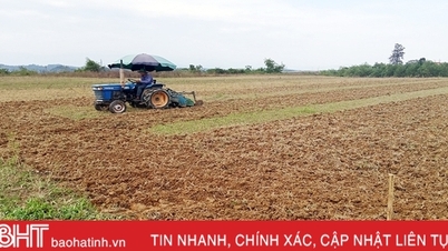 លោក Huong Khe ខិតខំ​ផលិត​ដំណាំ​រដូវរងា​លើ​ផ្ទៃដី ២៧៦០ ហិកតា