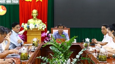 Hội nghị trực tuyến với các địa phương về tình hình giải ngân đầu tư công nguồn vốn nước ngoài