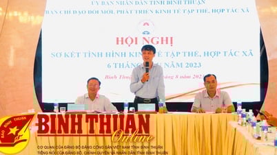Hội nghị sơ kết tình hình kinh tế tập thể, hợp tác xã 6 tháng đầu năm 2023