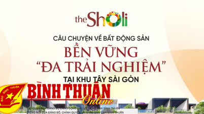 The Sholi - Câu chuyện về bất động sản