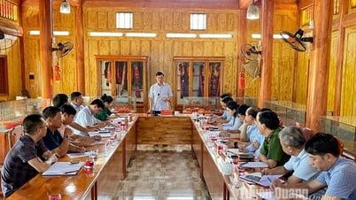 គណៈកម្មាធិការមជ្ឈិមសម្រាប់ចលនាមហាជន អង្កេតការងារចលនាមហាជននៅស្រុក Lam Binh