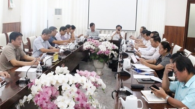 Họp Ban Chỉ đạo Đại hội đại biểu các DTTS tỉnh Ninh Thuận lần thứ IV, năm 2024