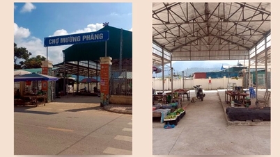 ខ្ជះខ្ជាយការវិនិយោគលើទីផ្សារជនបទ