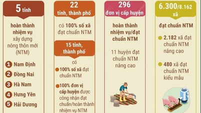 ខេត្ត Hai Duong ជាខេត្តមួយក្នុងចំណោមខេត្តទាំងប្រាំដែលបំពេញភារកិច្ចកសាងជនបទថ្មី។