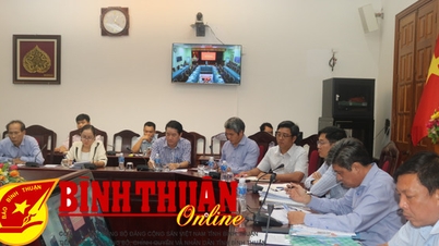 អនុសាសន៍ពីមុនជាច្រើនរបស់ Binh Thuan ត្រូវបានដោះស្រាយ។