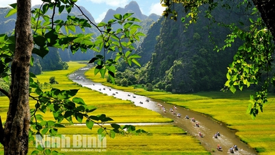 អ្នកថតរូបរង់ចាំសប្តាហ៍ទេសចរណ៍ Ninh Binh៖ ពណ៌មាសនៃ Tam Coc និង Trang An