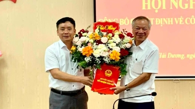 Trần Minh Đức, Liên minh Hợp tác xã tỉnh Hải Dương
