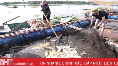 ដំណោះស្រាយកំណត់ការខូចខាតនៅពេលចិញ្ចឹមត្រីក្នុងទ្រុងនៅទន្លេ Nghen