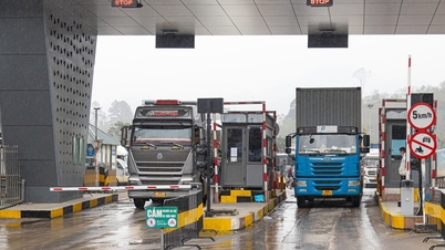 Trucks carrying Tet goods are busy clearing customs through Lang Son border gate