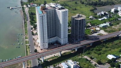 Comment les violations à Hoa Binh Green et Muong Thanh Da Nang ont-elles été traitées ?