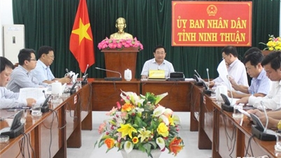 គណៈកម្មាធិការប្រជាជនខេត្តបានបើកកិច្ចប្រជុំដើម្បីស្តាប់របាយការណ៍ស្តីពីផែនការពង្រីកទំហំផ្គត់ផ្គង់ទឹកសម្រាប់អនុគម្រោងអភិវឌ្ឍន៍ប្រព័ន្ធធារាសាស្រ្តសម្រាប់កសិកម្មបច្ចេកវិទ្យាខ្ពស់នៅខេត្ត Nhon Hai - Thanh Hai។