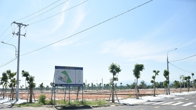 Tam Ky កែតម្រូវការប៉ាន់ស្មានថវិកា