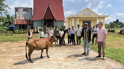 Quan tâm hỗ trợ hộ nghèo và đối tượng yếu thế