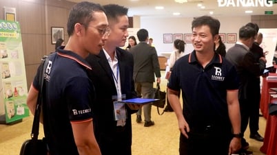 Spreading the message 'Da Nang - City of Innovation' at DAVAS 2024