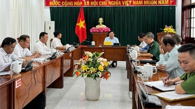 Đồng chí Trịnh Minh Hoàng, Phó Chủ tịch UBND tỉnh chủ trì buổi làm việc nghe báo cáo đề xuất phát triển cửa hàng xăng dầu trên biển