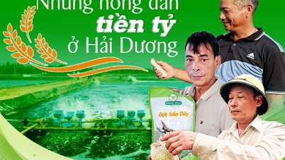 សេដ្ឋី​កសិករ​នៅ Hai Duong
