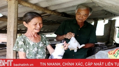 Phát huy “chất lính” trong làm kinh tế vườn đồi ở huyện miền núi Hà Tĩnh