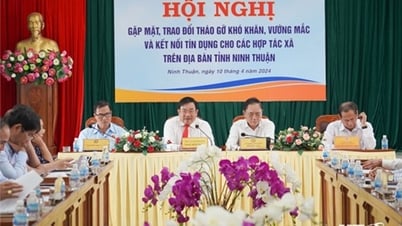 Hội nghị tháo gỡ khó khăn và kết nối tín dụng cho các hợp tác xã trên địa bàn tỉnh