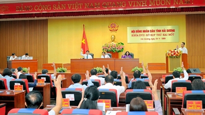 នាព្រឹកថ្ងៃទី៣០ ឧសភា ក្រុមប្រឹក្សាប្រជាជនខេត្ត Hai Duong លើកទី១៧ បានបើកសម័យប្រជុំលើកទី២២។