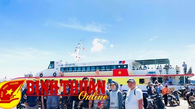 ការស្វែងរក Phu Quy កើនឡើង 180%