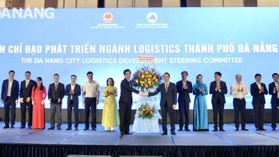 Launching the Steering Committee for Logistics Development in Da Nang City