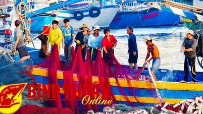 จากกรณีละเมิด IUU ที่เกียนซาง