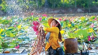 ជំនោរ​ស្ងប់​ស្ងាត់ ផ្កា​ឈូក​វិល​មក​វិញ។