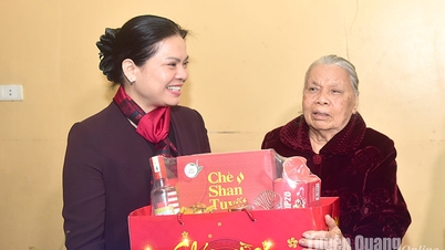 លេខាបក្សខេត្ត Ha Thi Nga បានចុះសួរសុខទុក្ខ និងជូនអំណោយបុណ្យតេតដល់គ្រួសារគោលនយោបាយ និងគ្រួសារអតីតថ្នាក់ដឹកនាំខេត្ត។
