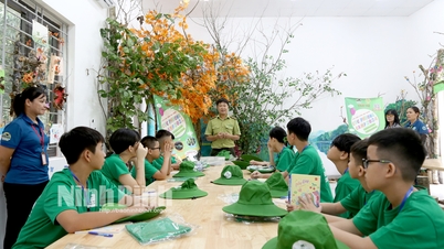 រៀបចំជំរុំរដូវក្តៅ រីកលូតលាស់ជាមួយព្រៃដ៏អស្ចារ្យ Cuc Phuong Camp 2024