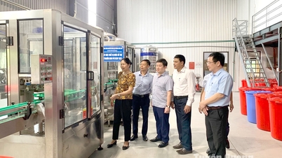 Hỗ trợ 260 triệu đồng đề án khuyến công địa phương đợt 1 năm 2024