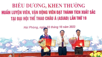 ចំណាប់អារម្មណ៍កីឡា Hai Phong