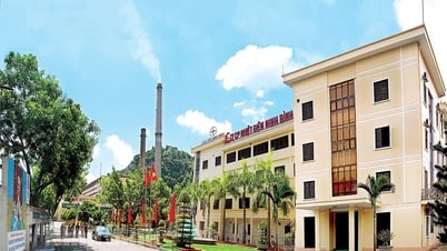 Công ty cổ phần Nhiệt điện Ninh Bình Hành trình 50 năm xây dựng và phát triển