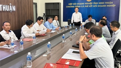 Triển khai Thông tư 06/2023/TT-NHNN của Ngân hàng Nhà nước về hoạt động cho vay của tổ chức tín dụng