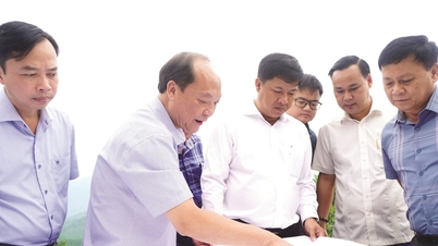 Quyết tâm hoàn thành chỉ tiêu năm 2024, Quảng Nam dốc sức cho chặng nước rút