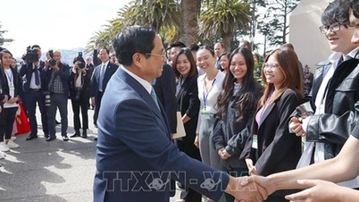 Thủ tướng: Đề nghị Đại học San Francisco đẩy mạnh hợp tác giáo dục phù hợp với ưu tiên của Việt Nam
