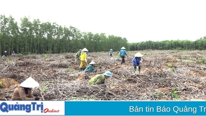 Vinh Linh លើកកំពស់គុណភាពសកម្មភាពសហករណ៍កសិកម្ម
