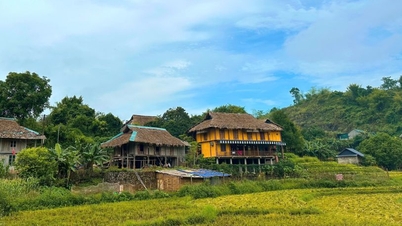 ផ្ទះឈើប្រណិតប្រពៃណីរបស់ជនជាតិ Muong នៅ Hoa Binh