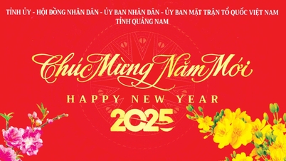 Thư chúc Tết Ất Tỵ 2025 của Tỉnh ủy, HĐND, UBND, Ủy ban MTTQ Việt Nam tỉnh Quảng Nam