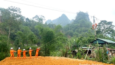 Công ty Điện lực Tuyên Quang nỗ lực đảm bảo an toàn điện, tiết kiệm điện