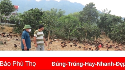 Building a career at the foot of Chay Mountain