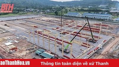 ការរំពឹងទុកនៃការតភ្ជាប់ និងកិច្ចសហប្រតិបត្តិការ Thanh Hoa