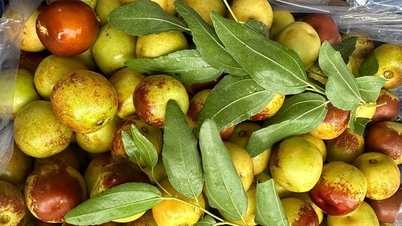 ផ្លែ​ទុរេន​របស់​ចិន​មាន​តម្លៃ​ថោក​ជាង​មិន​ធ្លាប់​មាន​ ផ្លែ​ទុរេន​ឡើង​ថ្លៃ​ទៀត